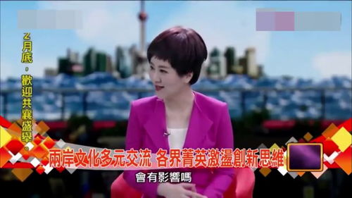 台湾节目 来宾讲述自己为了要融入大陆的生活,去追大陆的电视剧 