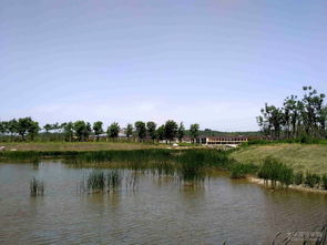 淇河湿地公园