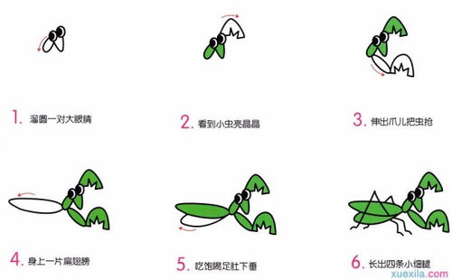 螳螂卡通简笔画怎么画图解 