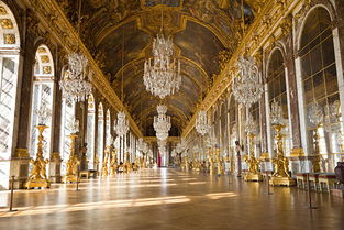 法国凡尔赛宫的地板(法国凡尔赛宫的地板是什么)