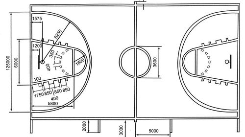 篮球场尺寸平面装修效果图 