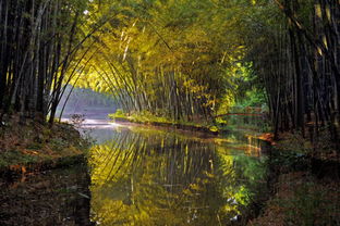 同里生态湿地公园的简单介绍