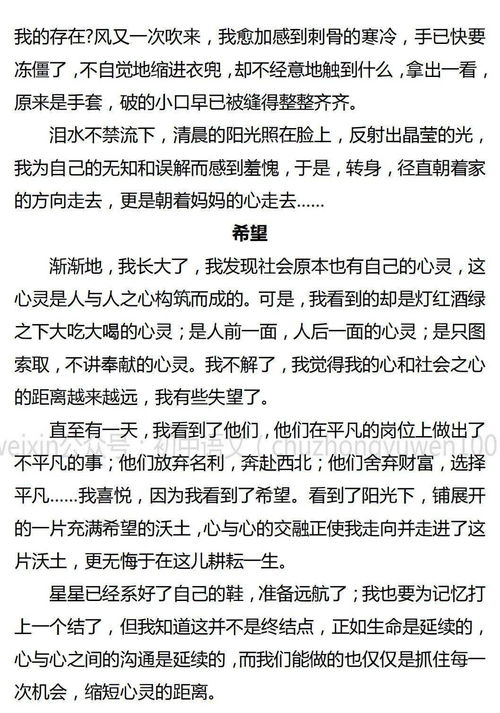 初中语文 初中语文5篇小标题优秀作文,超经典,为期末考试助力