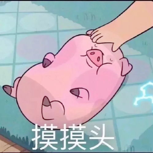 举着猪的表情包(猪举风车的表情包)