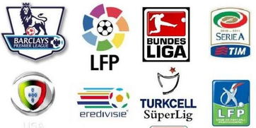 反对组建欧洲超级联赛,欧洲联盟协会表示支持欧足联