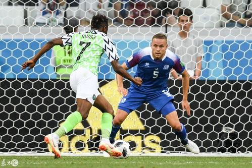 2018世界杯,冰岛对阵尼日利亚,现场画面集锦