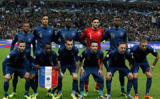 2014世界杯厄瓜多尔VS法国比分预测 历史战绩分析谁会赢