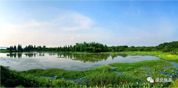 每日一景 走进武汉东湖风景区