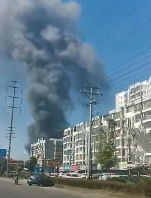福建漳州一家具厂发生火灾,现场浓烟滚滚