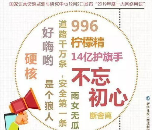 2019年度十大流行词鉴读