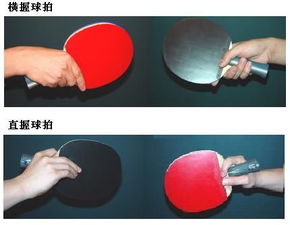 乒乓球直拍存在技术短板,业余乒乓球爱好者用直拍还是多于用横拍 