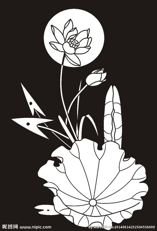 荷花 莲花 黑白图图片 