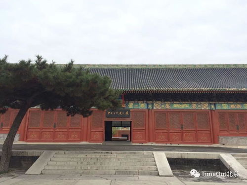 藏在京城坛庙建筑里的好逛博物馆 你听说过吗