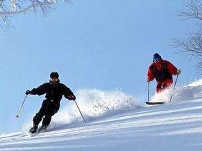 国内最值得去的滑雪场(国内好点的滑雪场)
