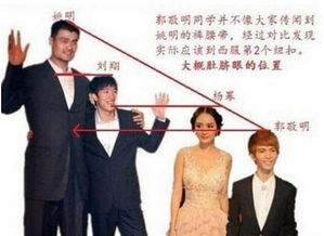 身高不足167的七位男明星,最矮的不是郭敬明