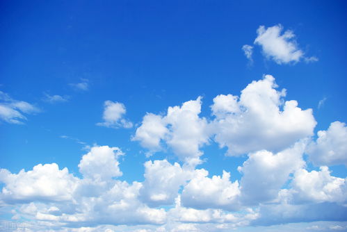 云朵和小云朵是一个人吗(云朵和谁都合作过?)