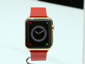 苹果手机和Apple watch配对后能用手机定位到Apple watch在哪吗 