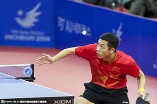 2010亚运会乒乓球男单决赛(亚运会乒乓球男单决赛2002)