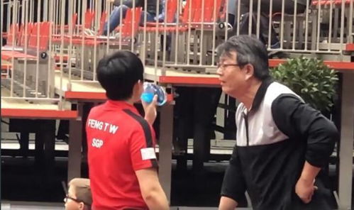 新加坡乒乓球女队教练(新加坡乒乓球女队教练吴敬平)