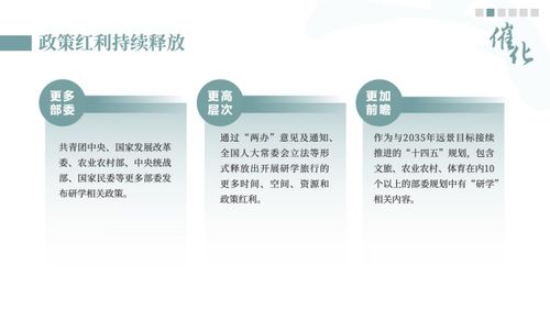 5个维度看 中国研学旅行发展报告2022 2023 