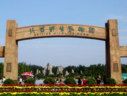 北京野生动物园门票多少钱 北京野生动物园门票价格多少 