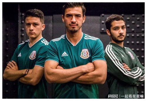 对墨西哥来说,2014年世界杯的四强,才是最实至名归的