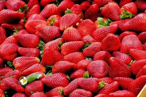 梦见吃大红草莓是什么意思(梦见自己吃红草莓)