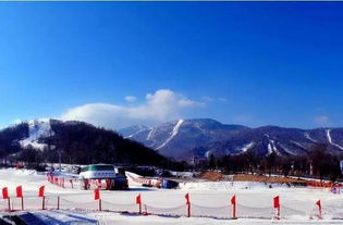 周末不用宅在家 网友评出哈尔滨最受欢迎的10个滑雪场 