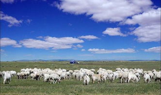 七月去内蒙古旅游注意事项(七月底去内蒙古旅游需要准备什么)