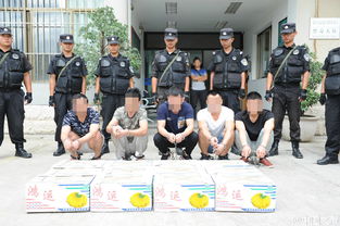 云南破获一起特大跨国贩毒案 117.2公斤冰毒藏香蕉中 组图 