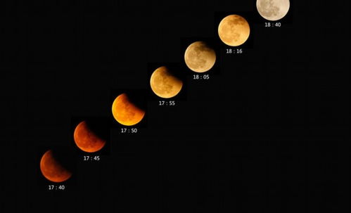 月全食和月偏食示意图(月全食月偏食月环食图片)