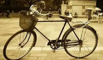 自行车记忆 凤凰 与 永久