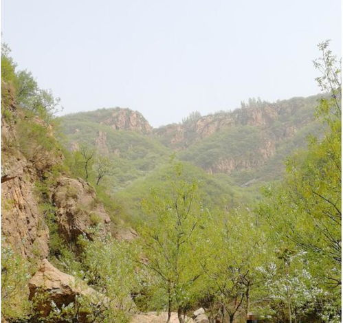 环翠峪旅游攻略 环翠峪,一个郑州周边周末自驾看猴子的好地方