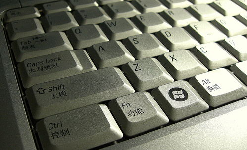 笔记本键盘失灵怎么办 四大原因及解决方法
