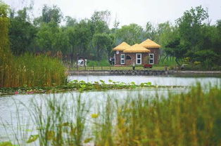 济西国家湿地公园6月 开门纳客 试运营期间免费