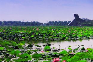 河北十大旅游景点排行榜 河北省有哪些好玩的景点