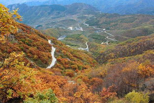 旅游写生 百花山国家级自然保护区位于北京市门头沟区清水镇境内 分为百花山 