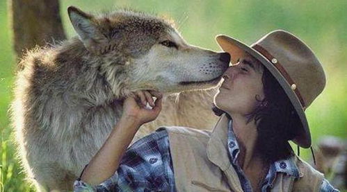女子在野外被狼发现,细看后是自己放生的小狼,被狼牵来马相救