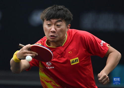 乒乓球 卡塔尔挑战赛 赵子豪晋级八强 新华网体育 