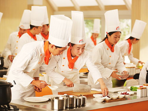 重庆新东方烹饪学院学费