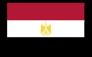 埃及国旗 