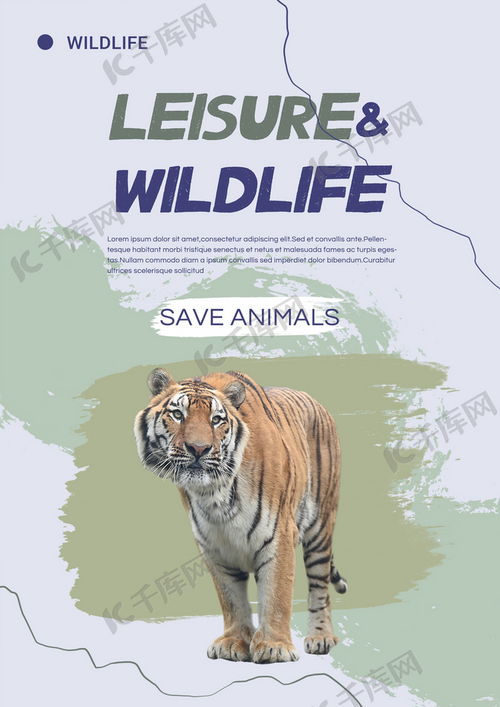 紫色绿色简约保护野生动物宣传海报海报模板下载 千库网 