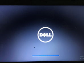 现在电脑出完logo就花屏, 有发用u盘做pe吗 已经不出Windows启动管理器了 