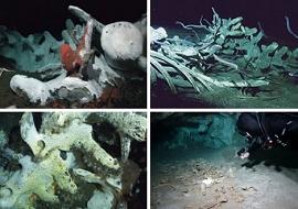 探秘全球八大海底墓地是在哪里 