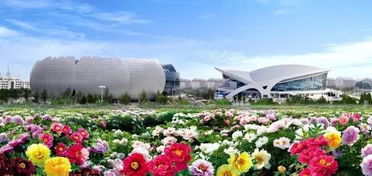 菏泽国际国花博览园2022(菏泽国际国花博览园2022年开业)