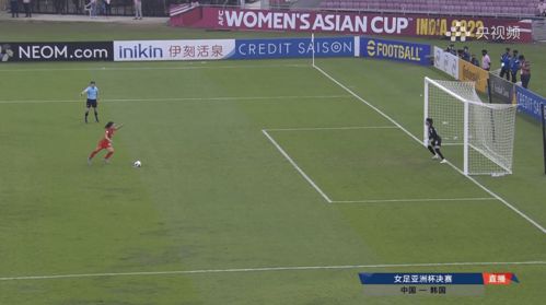 中国队获得女足亚洲杯冠军