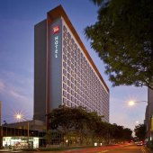 新加坡雅高口碑最好酒店预订及价格查询,新加坡雅高口碑最好住宿推荐 