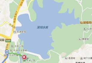 从深圳福田区车公庙怎么坐车到龙岗东湖公园最快 是地铁还是公交 求具体路线 