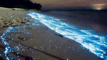 每年 蓝眼泪 爆发的时候,平潭的海滩童话般梦幻的夜景总会引来无数游客