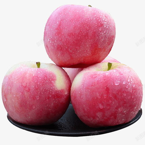 两个苹果图片大全可爱红富士苹果的图片(两个红苹果头像)